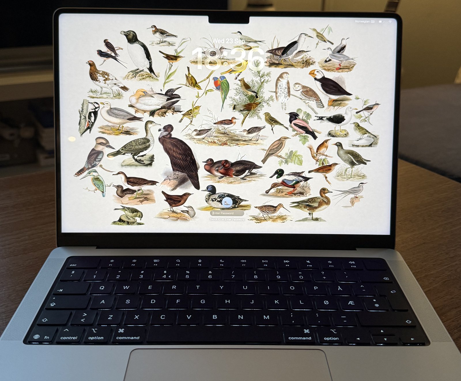 The collage on the lock screen of a MacBook
