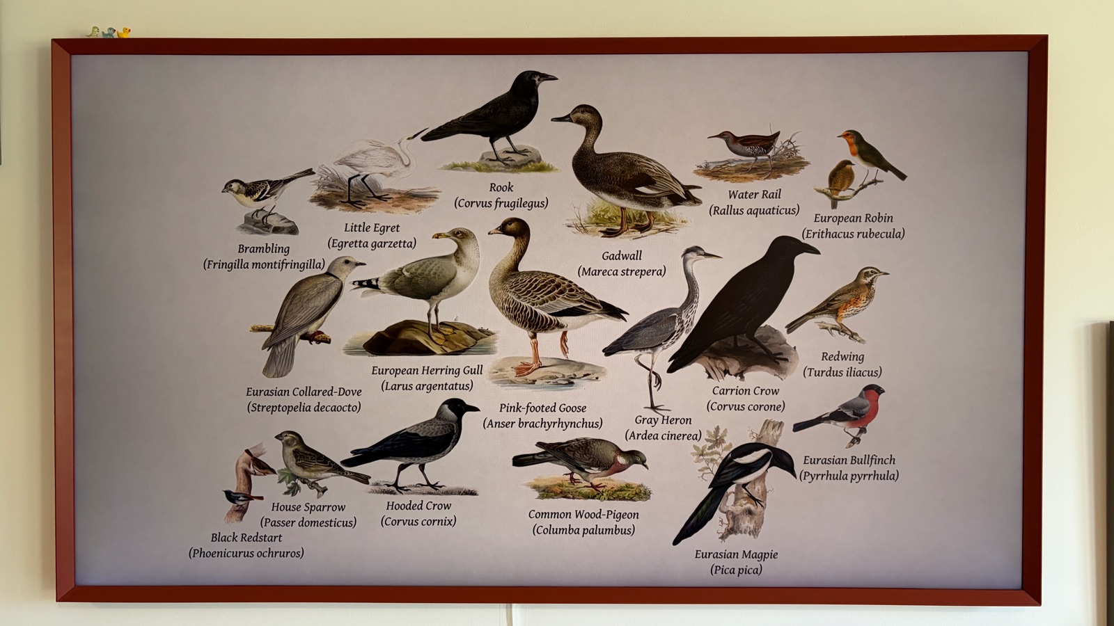 Close-up of the collage on the Samsung Frame